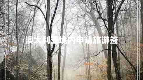 澳大利亞境內(nèi)申請(qǐng)旅游簽