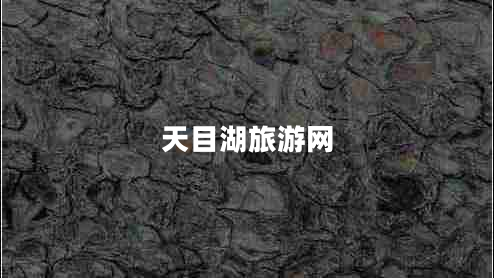 天目湖旅游網(wǎng) 天目湖旅游網(wǎng)