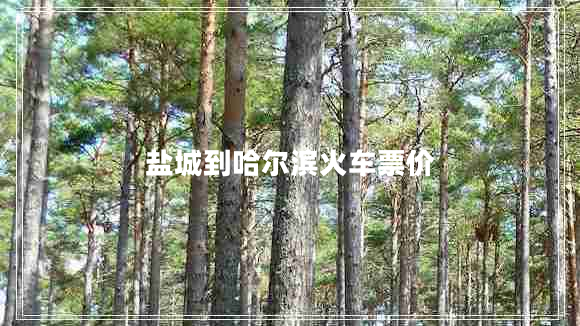 鹽城到哈爾濱火車票價(jià)