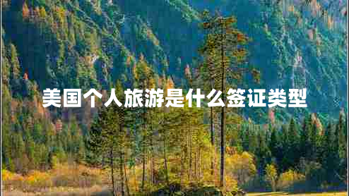 美國(guó)個(gè)人旅游是什么簽證類型