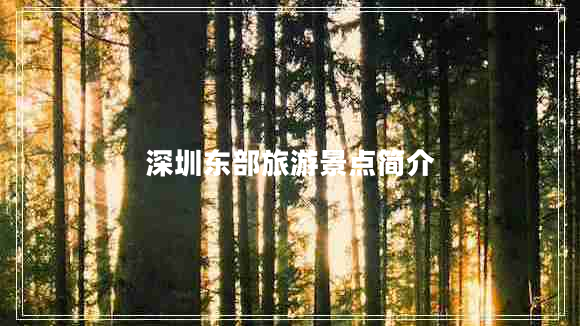 深圳東部旅游景點(diǎn)簡介