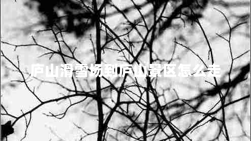 廬山滑雪場(chǎng)到廬山景區(qū)怎么走