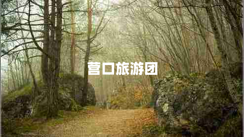 營(yíng)口旅游團(tuán)