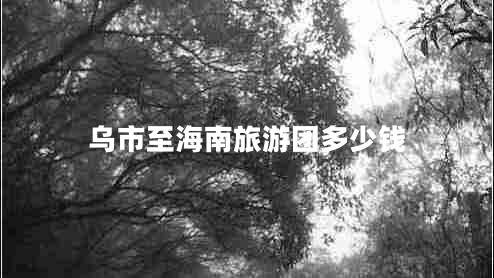 烏市至海南旅游團多少錢
