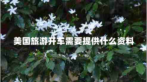 美國(guó)旅游開(kāi)車(chē)需要提供什么資料