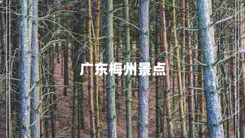 廣東梅州景點
