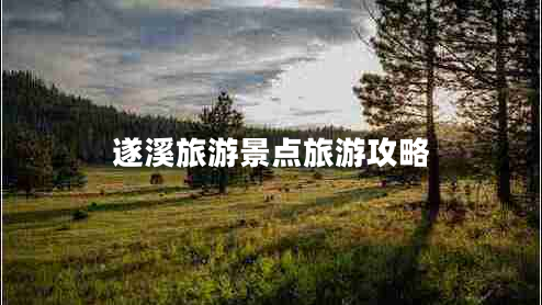遂溪旅游景點旅游攻略