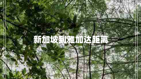 新加坡到雅加達(dá)距離