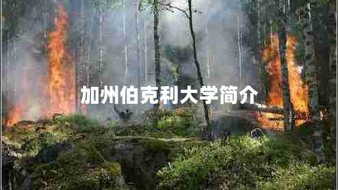 加州伯克利大學(xué)簡介