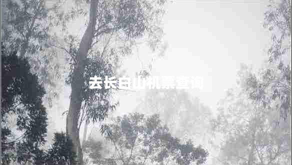 去長白山機票查詢