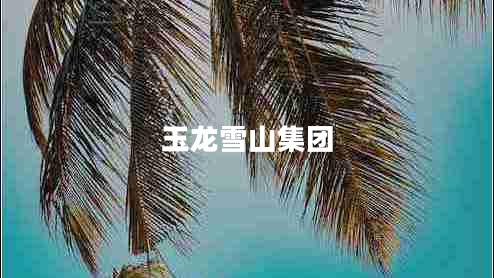 玉龍雪山集團 玉龍雪山集團