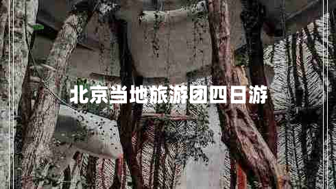 北京當(dāng)?shù)芈糜螆F四日游