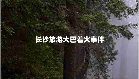 長(zhǎng)沙旅游大巴著火事件