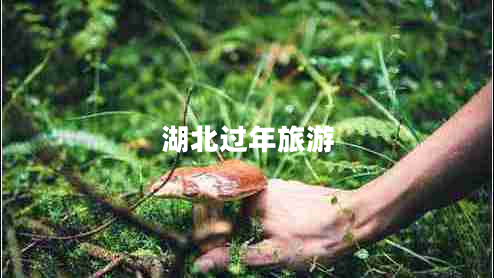 湖北過(guò)年旅游