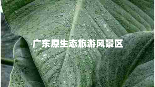 廣東原生態(tài)旅游風景區(qū)