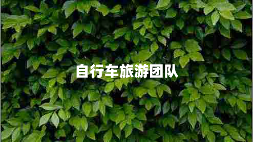 自行車旅游團(tuán)隊(duì) 自行車旅游團(tuán)隊(duì)