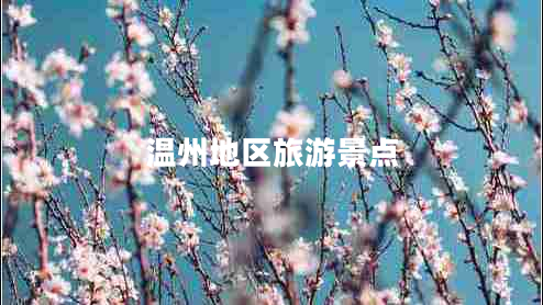 溫州地區(qū)旅游景點