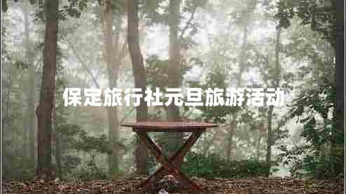 保定旅行社元旦旅游活動