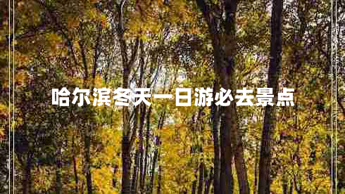 哈爾濱冬天一日游必去景點