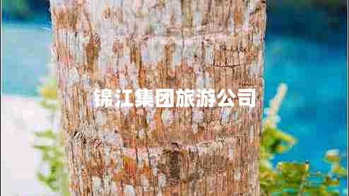 錦江集團(tuán)旅游公司