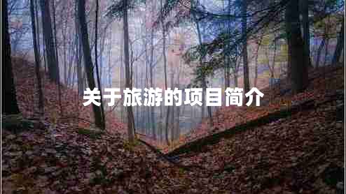 關于旅游的項目簡介
