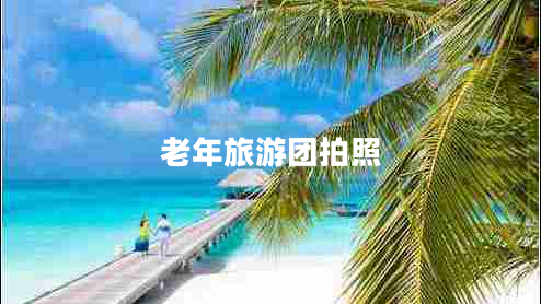 老年旅游團(tuán)拍照