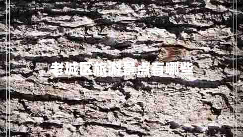 老城區(qū)旅游景點有哪些