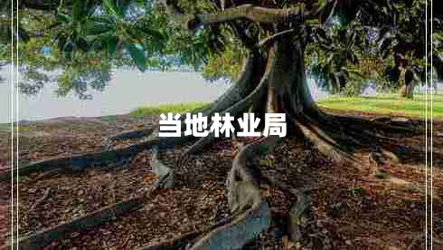 當(dāng)?shù)亓謽I(yè)局