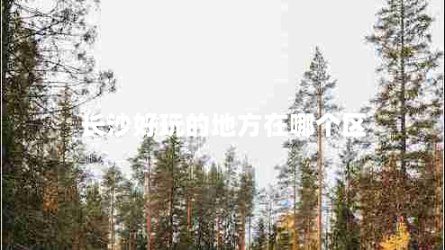 長沙好玩的地方在哪個區(qū)