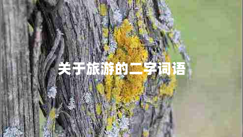關(guān)于旅游的二字詞語