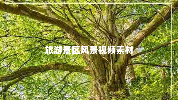 旅游景區(qū)風(fēng)景視頻素材