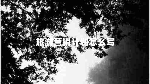 旅游營銷計劃怎么寫