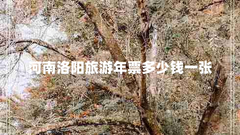 河南洛陽旅游年票多少錢一張