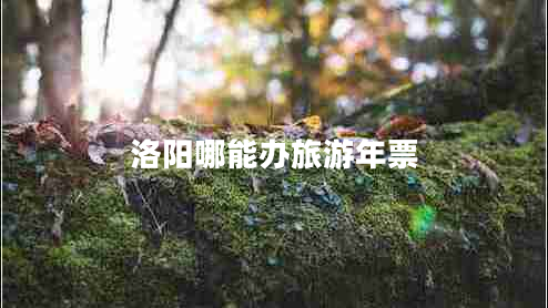 洛陽(yáng)哪能辦旅游年票