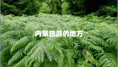內(nèi)蒙旅游的地方