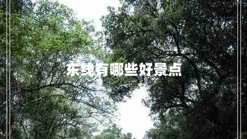 東線有哪些好景點(diǎn)