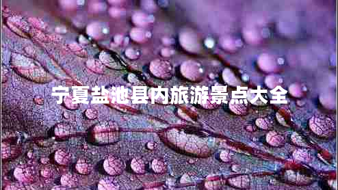寧夏鹽池縣內(nèi)旅游景點大全