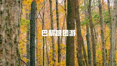 巴黎跟團(tuán)游