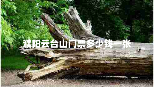濮陽(yáng)云臺(tái)山門(mén)票多少錢(qián)一張