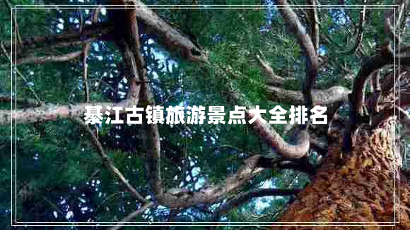綦江古鎮(zhèn)旅游景點大全排名
