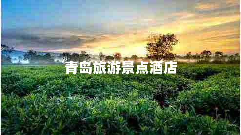 青島旅游景點酒店 青島旅游景點酒店