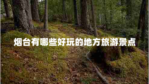 煙臺有哪些好玩的地方旅游景點