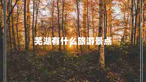 蕪湖有什么旅游景點