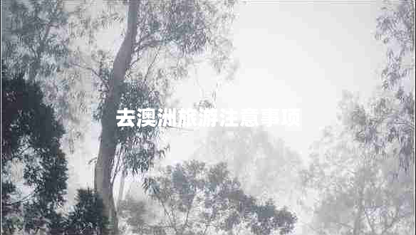 去澳洲旅游注意事項 去澳洲旅游注意事項