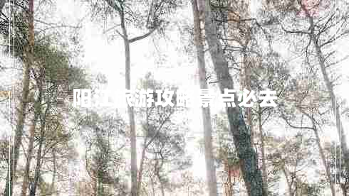 陽江旅游攻略景點必去