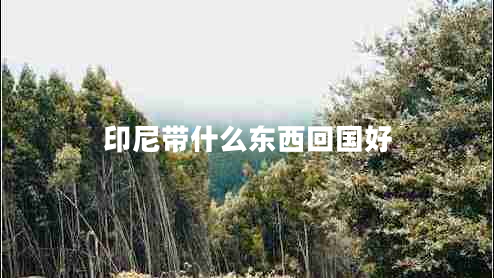 印尼帶什么東西回國(guó)好