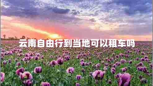 云南自由行到當(dāng)?shù)乜梢宰廛噯? title=