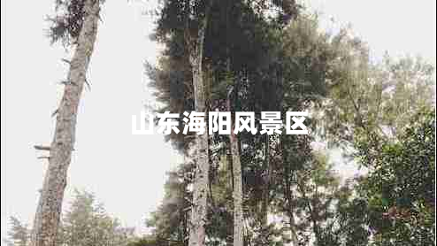 山東海陽風(fēng)景區(qū)