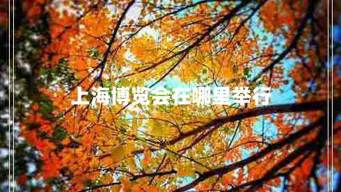 上海博覽會在哪里舉行