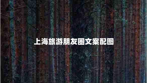 上海旅游朋友圈文案配圖 上海旅游朋友圈文案配圖